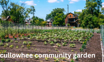 Cultivating Community: The Cullowhee Community Garden