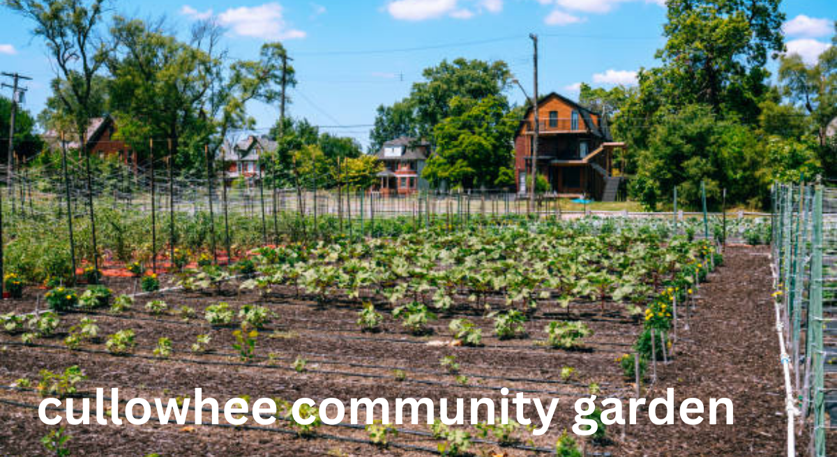 Cultivating Community: The Cullowhee Community Garden