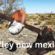 Hurley, New Mexico: A Glimpse into a Historic Mining Town