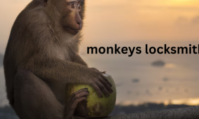 Monkeys as Locksmiths: A Curious Intersection of Nature and Mechanics