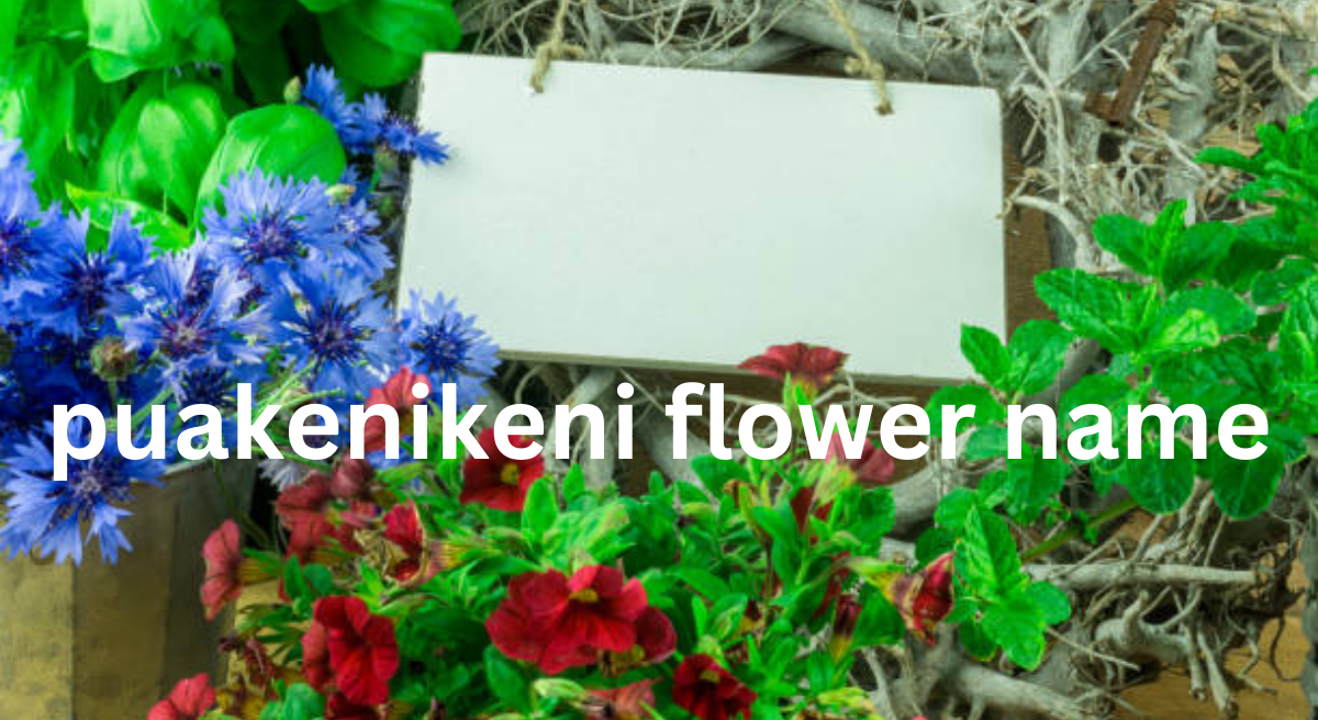 Puakenikeni Flower: The Fragrant Blossom with a Rich Hawaiian Heritage