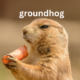 The Groundhog: Nature’s Weather Forecaster