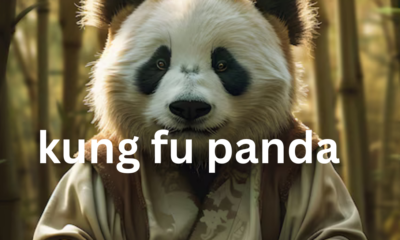 Kung Fu Panda: A Tale of Determination, Humor, and Heroism