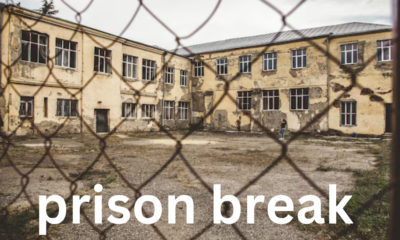 The Phenomenon of Prison Breaks: Causes, Cases, and Consequences