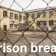 The Phenomenon of Prison Breaks: Causes, Cases, and Consequences