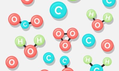 The Chemical Journey: Understanding hcooch ch2 h2o and Its Applications