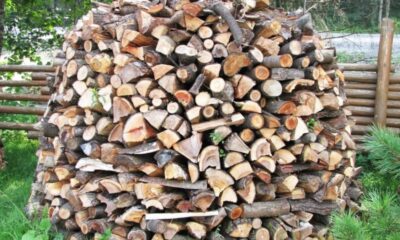 How to Choose and Store timtum halev firewood for Optimal Burning