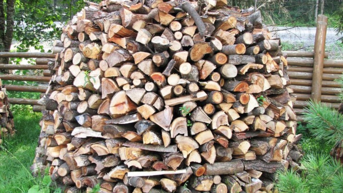 How to Choose and Store timtum halev firewood for Optimal Burning